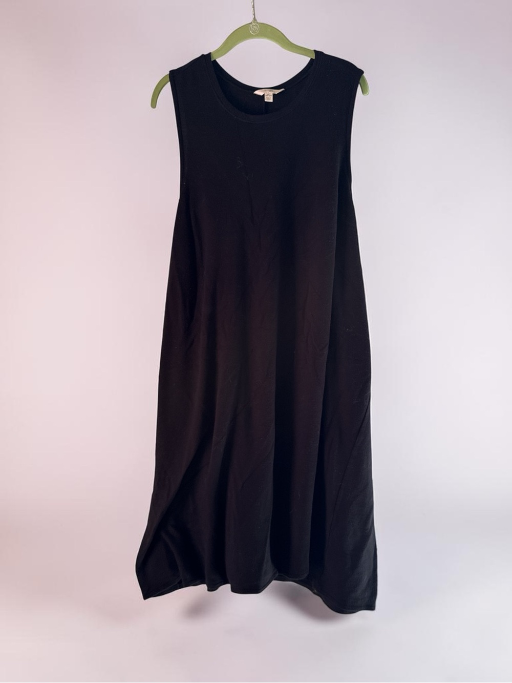 Terra & Sky Black Sleeveless Maxi Dress